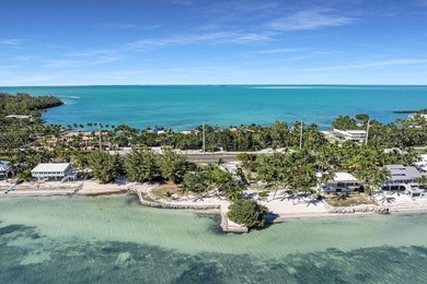 Beautiful 200' of oceanfront property on Lower Matecumbe Key - photo 24