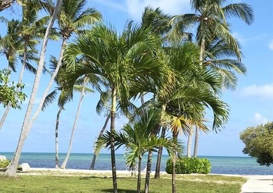 Beautiful 200' of oceanfront property on Lower Matecumbe Key - photo 25