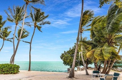 Beautiful 200' of oceanfront property on Lower Matecumbe Key - photo 27