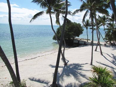 Beautiful 200' of oceanfront property on Lower Matecumbe Key - photo 28