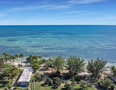 Beautiful 200' of oceanfront property on Lower Matecumbe Key - photo 30