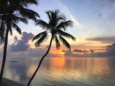 Beautiful 200' of oceanfront property on Lower Matecumbe Key - photo 34