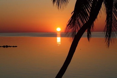 Beautiful 200' of oceanfront property on Lower Matecumbe Key - photo 35