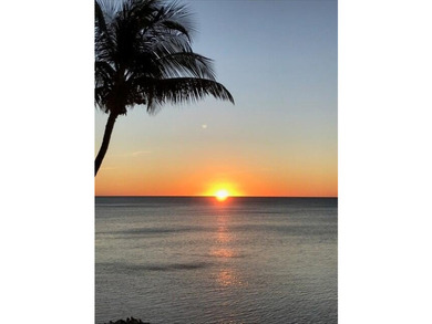 Beautiful 200' of oceanfront property on Lower Matecumbe Key - photo 36