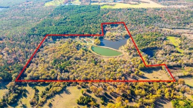 (private lake, pond, creek) Acreage For Sale in Winnsboro Texas