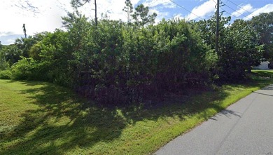 Oversized lot! Located in a growing residential area of Palm Bay - photo 3