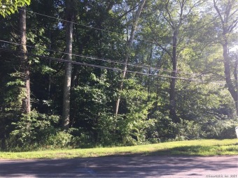 Amston Lake Lot For Sale in Hebron Connecticut