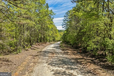 Discover the perfect blend of seclusion, natural beauty and - photo 3