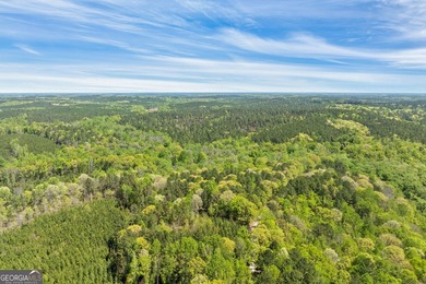 Discover the perfect blend of seclusion, natural beauty and - photo 7