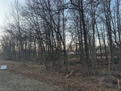 Lake Erie - Erie County Acreage For Sale in Vermilion Ohio