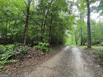 Great UNRESTRICTED land near Mountaintown Creek- Bring your - photo 2