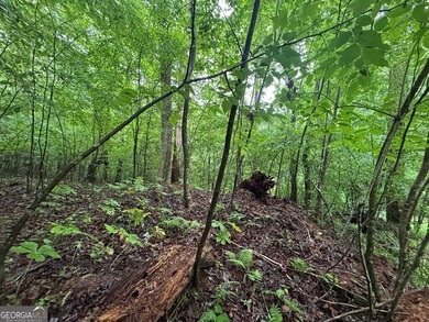 Great UNRESTRICTED land near Mountaintown Creek- Bring your - photo 3