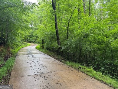 Great UNRESTRICTED land near Mountaintown Creek- Bring your - photo 4