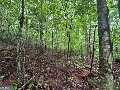 Great UNRESTRICTED land near Mountaintown Creek- Bring your - photo 5