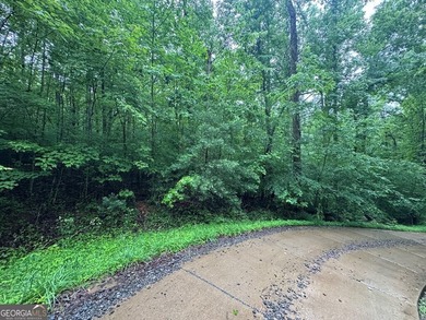Great UNRESTRICTED land near Mountaintown Creek- Bring your - photo 6