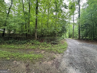 Great UNRESTRICTED land near Mountaintown Creek- Bring your - photo 7