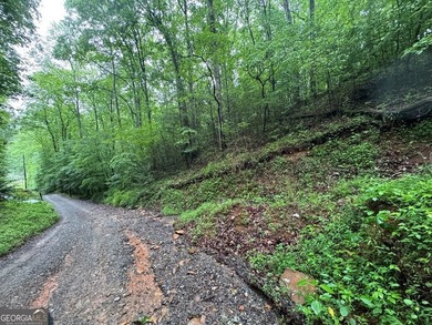 Great UNRESTRICTED land near Mountaintown Creek- Bring your - photo 8