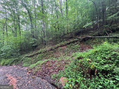 Great UNRESTRICTED land near Mountaintown Creek- Bring your - photo 9