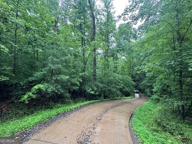 Great UNRESTRICTED land near Mountaintown Creek- Bring your - photo 10