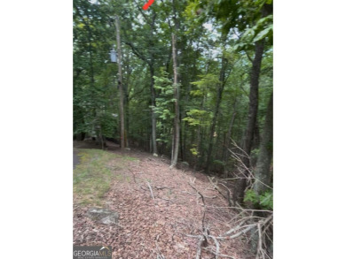 Lake Lot For Sale in Waleska, Georgia