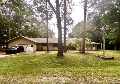 Lake Michigan - Delta County Home For Sale in Gladstone Michigan