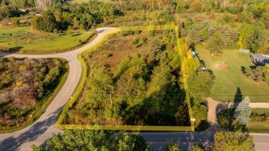 Lake Lancer Lot For Sale in Gladwin Michigan