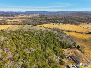 Mini Estate opportunity! Three (3) residential lots available - photo 11
