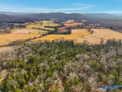 Mini Estate opportunity! Three (3) residential lots available - photo 13