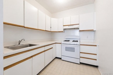 Welcome to this bright and spacious 2-bedroom condominium - photo 4