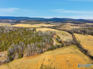 Mini Estate opportunity! Three (3) residential lots available - photo 14