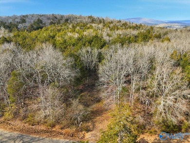 Mini Estate opportunity! Three (3) residential lots available - photo 16