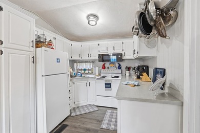Discover the ultimate Suwannee, FL waterfront retreat with this - photo 34