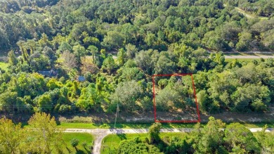 Lake Lot For Sale in Georgetown, Florida