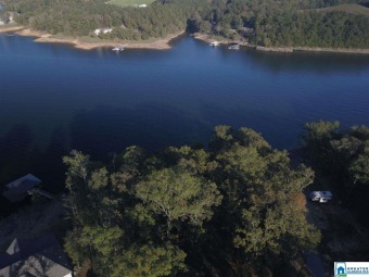 Lake Lot Off Market in Double Springs, Alabama