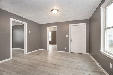 This property is filed with potential. The whole property has - photo 8