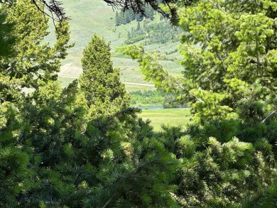 Madison River Acreage For Sale in Cameron Montana