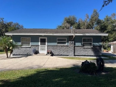 Lake Home For Sale in Lake Panasoffkee, Florida