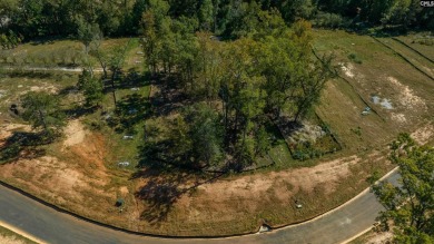 Lake Lot For Sale in Lexington, South Carolina