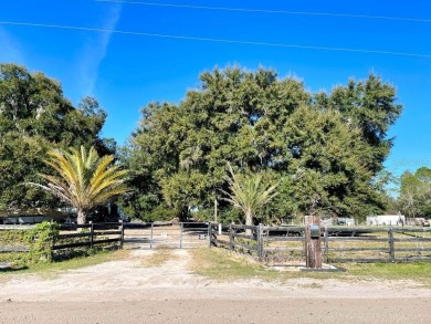 Lake Home For Sale in Umatilla, Florida