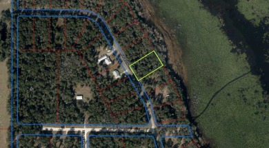  Lot For Sale in Bronson Florida
