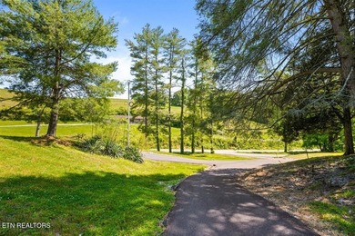 This is one of the most unique properties you will find that is - photo 28
