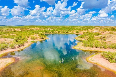 (private lake, pond, creek) Acreage For Sale in Ballinger Texas