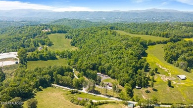 This is one of the most unique properties you will find that is - photo 55