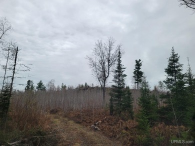 Lake Acreage For Sale in Crystal Falls, Michigan
