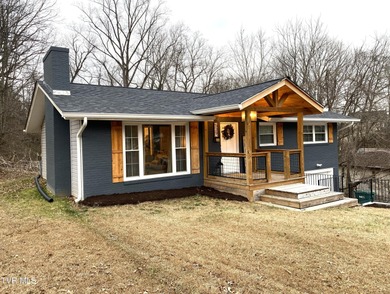 Patrick Henry Lake Home For Sale in Kingsport Tennessee