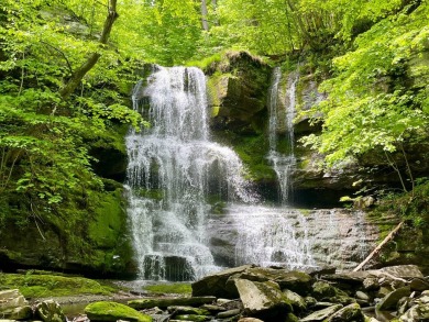 (private lake, pond, creek) Acreage For Sale in Saugerties New York