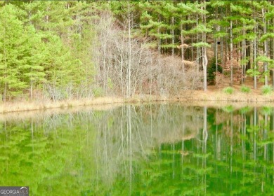 Lake Lot For Sale in Clarksville, Georgia