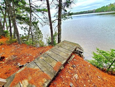 Dreaming of a lakefront lot with power, year-round access, and - photo 22