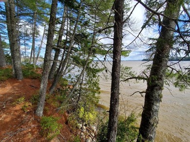 Dreaming of a lakefront lot with power, year-round access, and - photo 50
