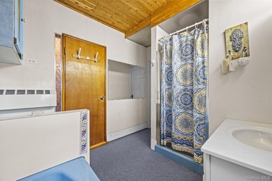 Prime North Flushing Location - Discover the perfect blend of - photo 18